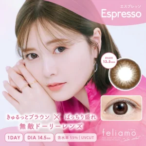 Feliamo 1 Day Colored Contact Lens Espresso
